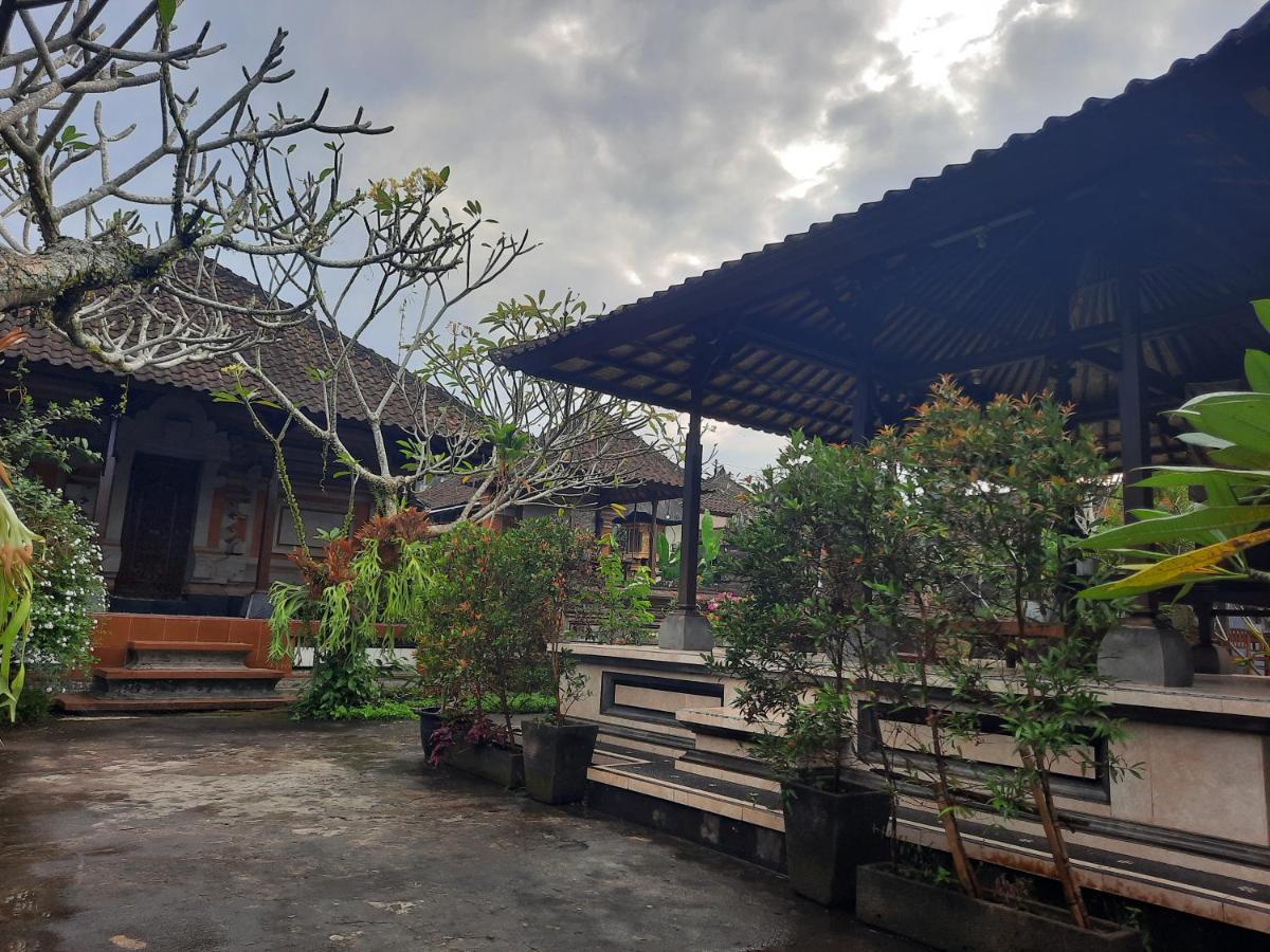 Homestay Darta House *