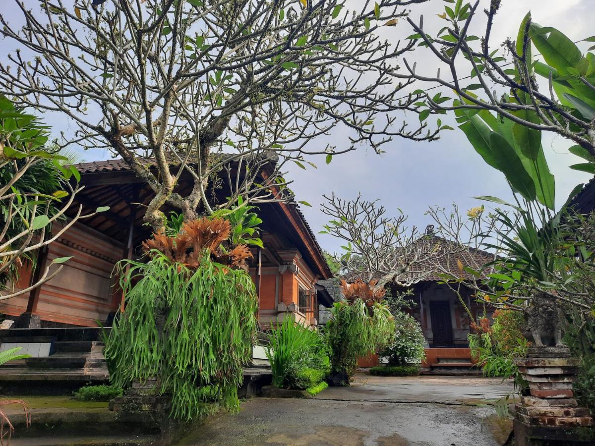 Darta House Homestay *